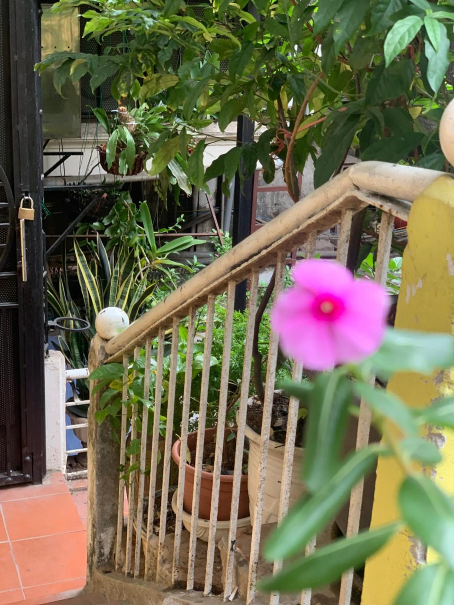 Appartamento Charmcham House Hanoi Esterno foto