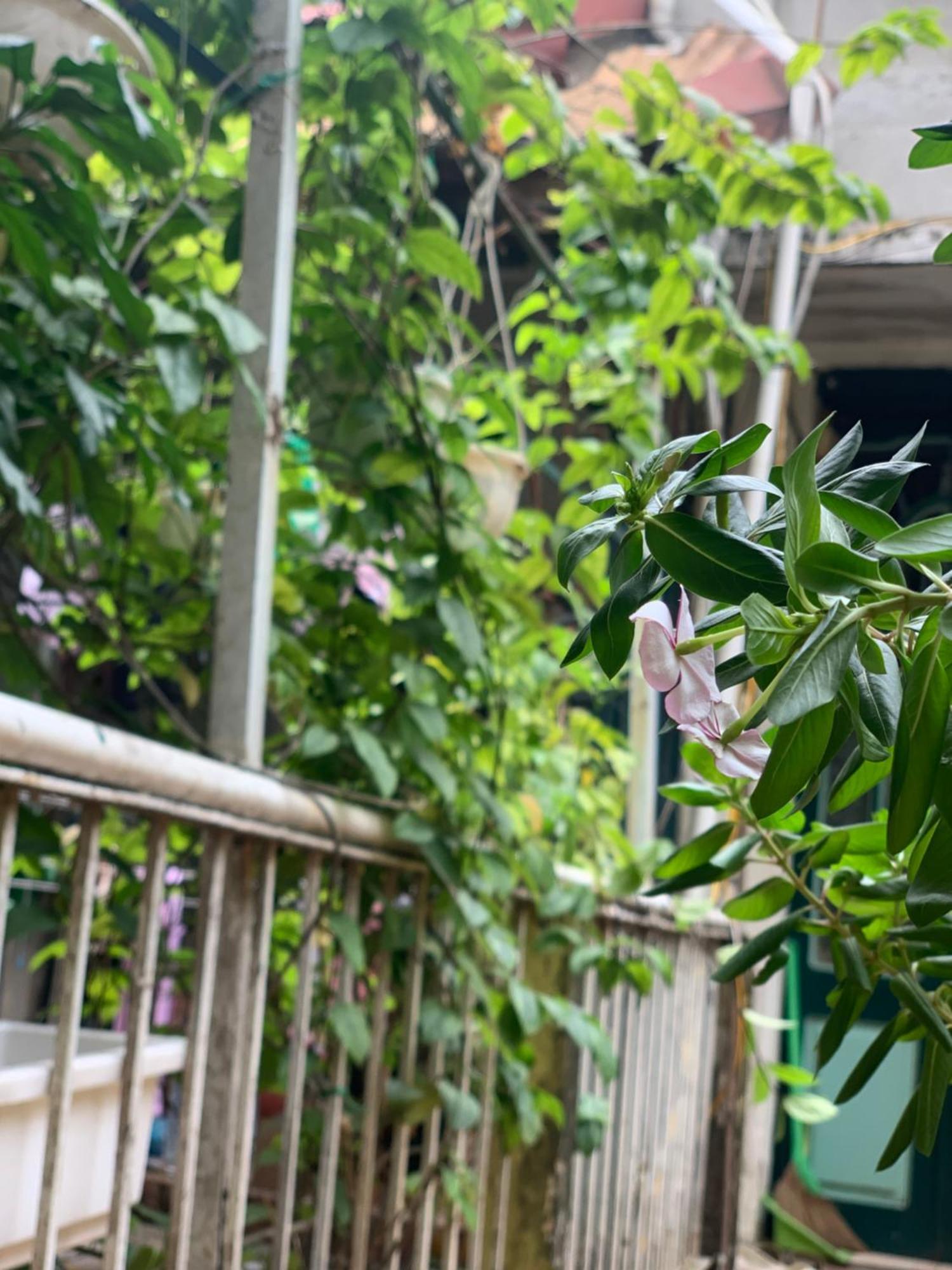 Appartamento Charmcham House Hanoi Esterno foto