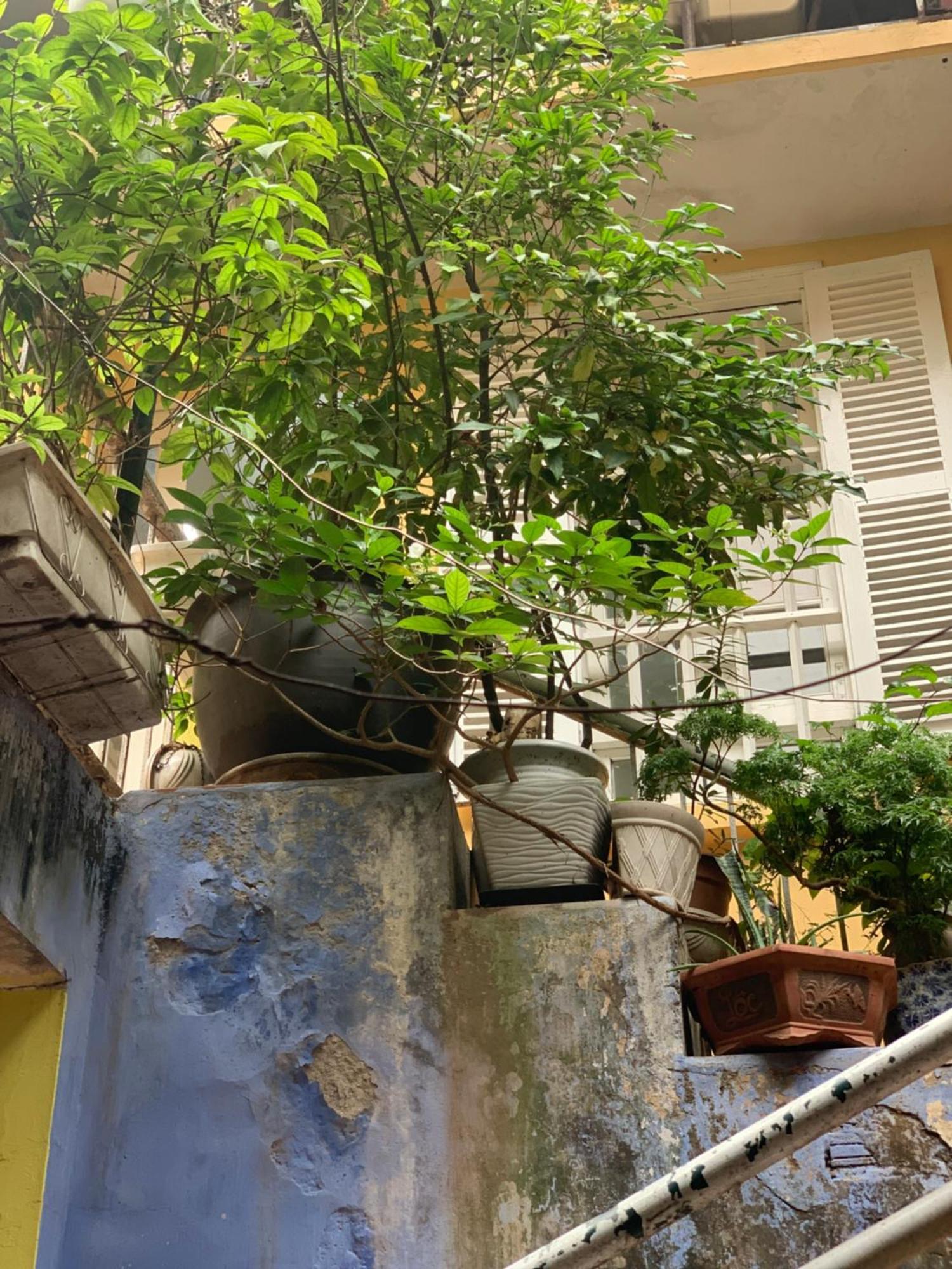 Appartamento Charmcham House Hanoi Esterno foto