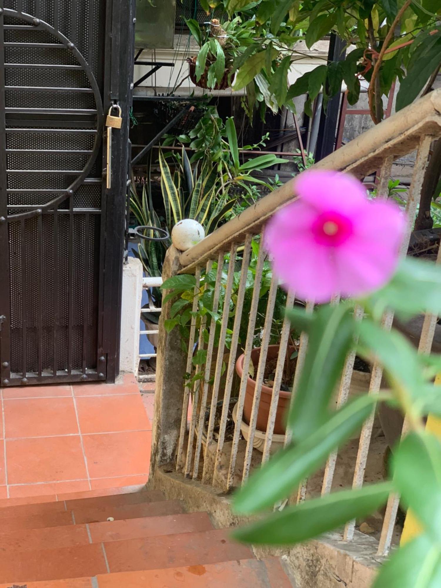 Appartamento Charmcham House Hanoi Esterno foto