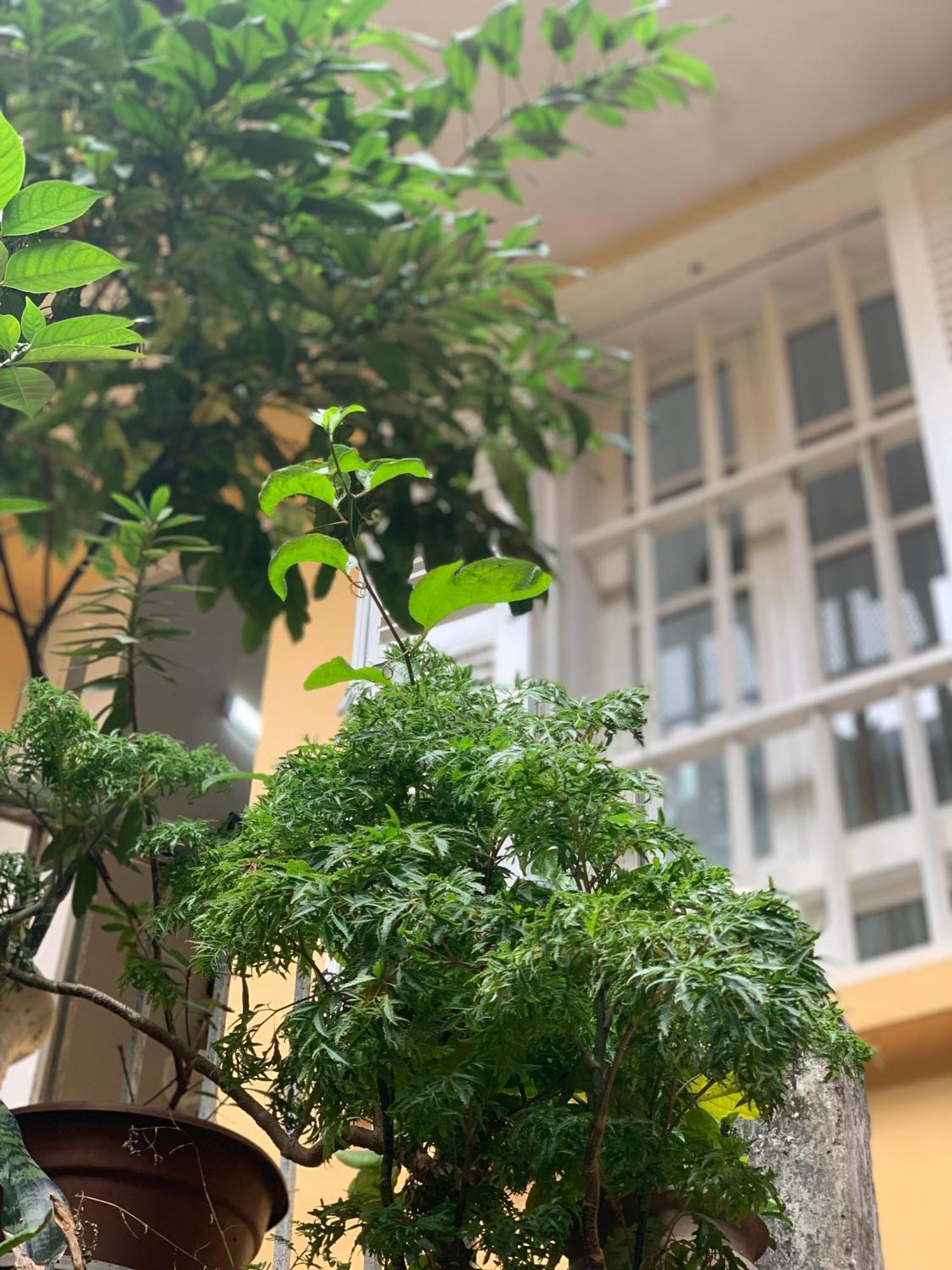 Appartamento Charmcham House Hanoi Esterno foto